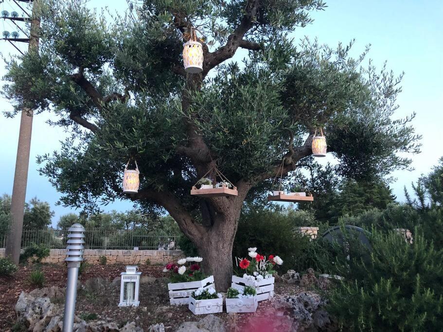 Villa Catia Alberobello Esterno foto